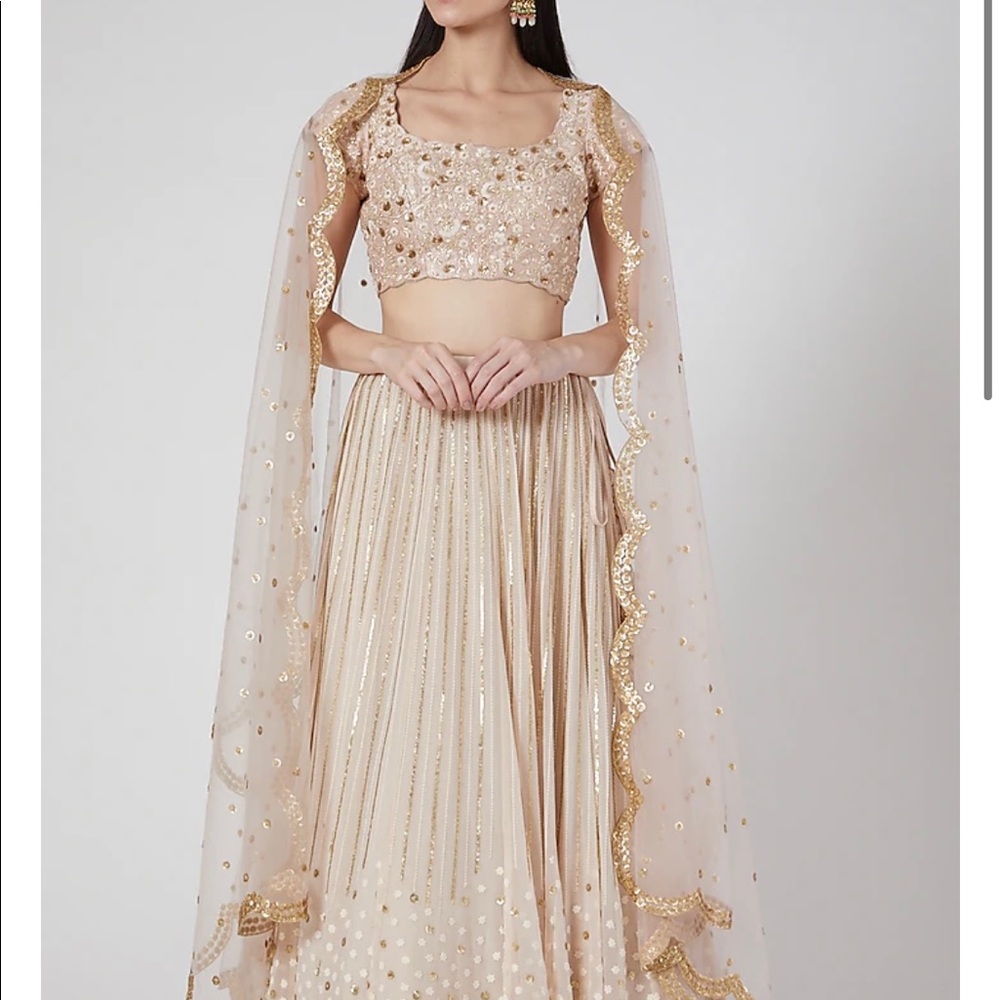 NEW Beige Embroidered Lehenga Set - Anapuraas by Nishant & Rahul, size S